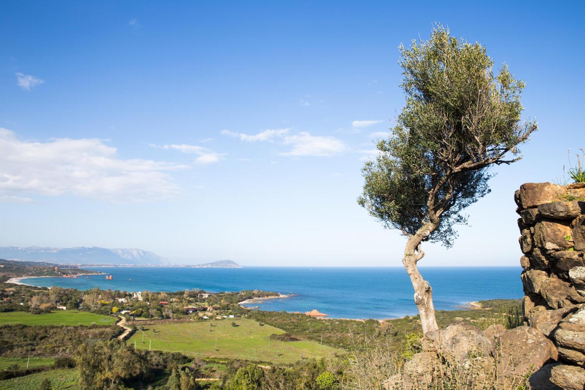 La Corte del Carrubo Bari Sardo Esterno foto
